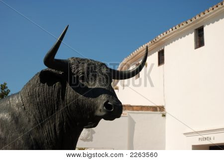 Bull Statue i Ronda, Spanien
