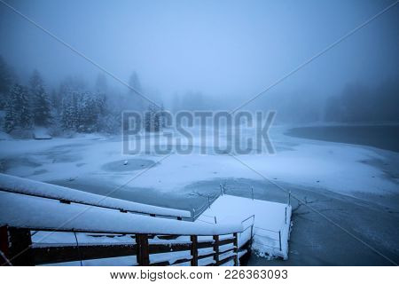 Frozen lake and pine trees in snow at Colibita. Romania early morning winter secen.
