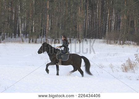 Woman On Black Horse In Snowy Forest, Telephoto Shot