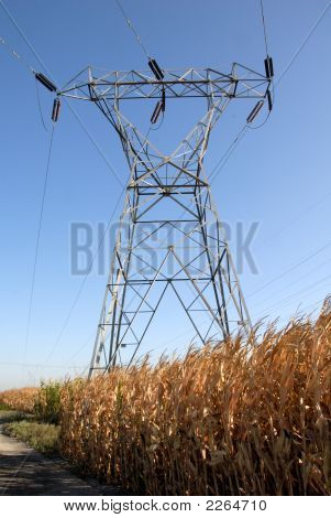 Elektriska torn och majs