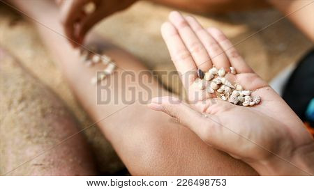 Female Hands Collect Pattern Of Shells And Sand, Close Up. Video. Girl Plays With Shells And Sand Si