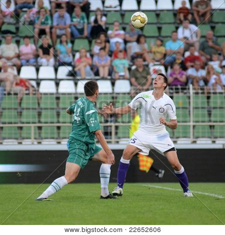 KAPOSVAR, Ungheria - 14 agosto: Serghei Alexeev (in verde) in azione presso un campione nazionale ungherese