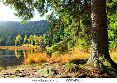 Moraine Lake Kleiner Arbersee In National Park Bavarian Forest. Autumn Landscape In Germany.