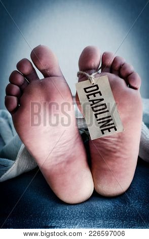 Deadline. Concept photo. The dead body of the foot with a tag in the morgue.