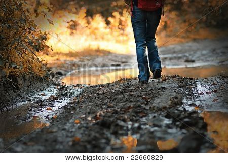 Walking