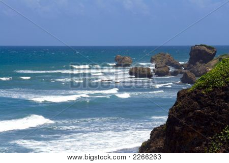 Eastcoast Barbados
