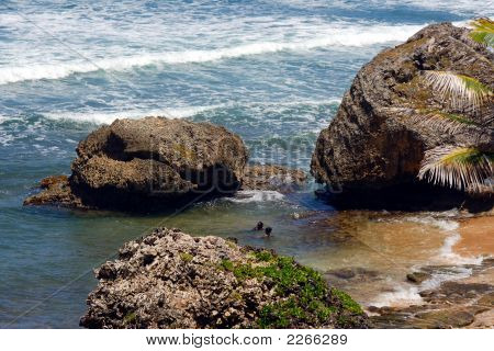 Eastcoast Barbados