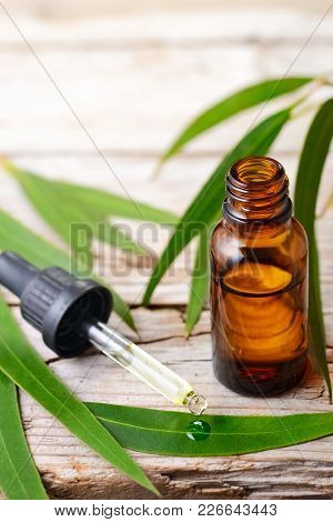 Eucalyptus Essential Oil In The Amber Glass Bottle