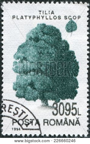 Romania - Circa 1994: A Stamp Printed In The Romania, Shows Tilia Platyphyllos, Circa 1994