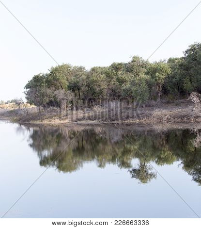 Reflection Of Trees In Water . In The Park In Nature