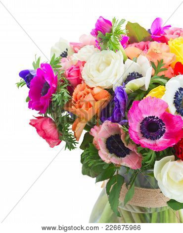Fresh Colorful Anemones And Roses Flowers Bouqet Closeup Isolated On White Background