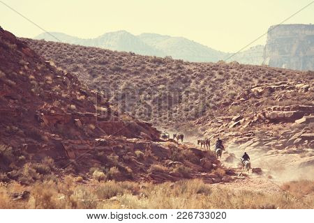 Horses running in mountains 