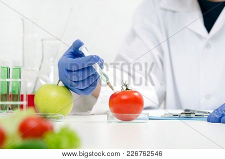 Scientist Is Working On Genetically Modified Food.