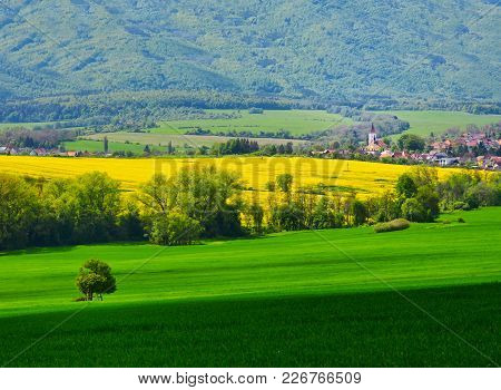 Colorful Spring Rural Field, Village And Beautiful Nature In Background