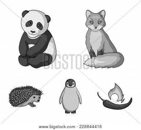 Fox, Panda, Hedgehog, Penguin And Other Animals.animals Set Collection Icons In Monochrome Style Vec