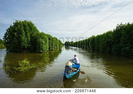 Mangrove Forest With Fishing Boat In Ca Mau Province, Mekong Delta, South Of Vietnam