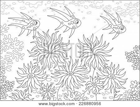 Funny Fishes Swimming Over Anemones On A Coral Reef In A Tropical Sea, A Black And White Vector Illu