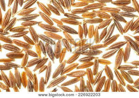 Cumin/jeera Grains,  Cumin/jeera Seeds,a Top View Closeup Photo On A Group Of Cumin/jeera Grain Isol