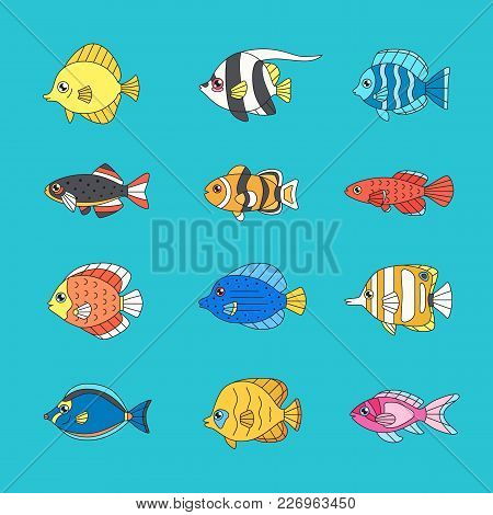 Fish Outline Multicolored Vector Icon Set (tropical, Marine, Oceanic, Freshwater).