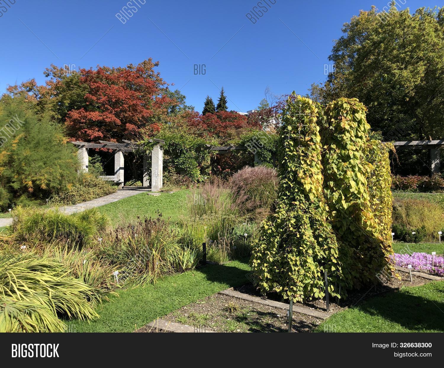 Botanical Garden St Image Photo Free Trial Bigstock
