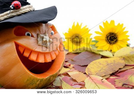 Pumpkin For Halloween Isolated On White Background. Jack Lantern Head Carved From Pumpkin For Hallow