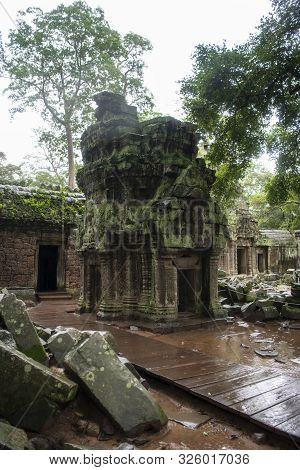 Та Prohm Is The Largest Temple, It Rains In The Rainy Season.  Restorers Spared Banyan Trees With Th