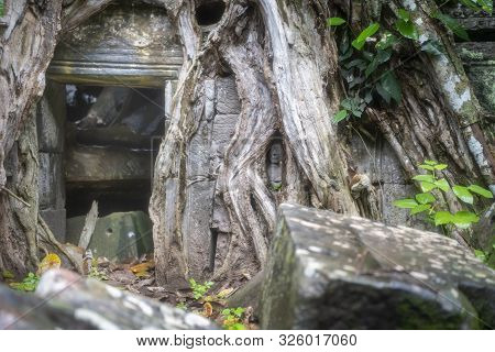Та Prohm Is The Largest Temple, It Rains In The Rainy Season.  Restorers Spared Banyan Trees With Th