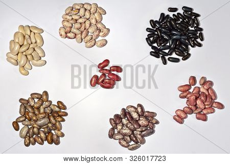 Many Beans Are Sorted By Species. The Beans Are Grouped By Species. Fresh Young Beans Isolated On A 