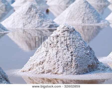 Salt gård