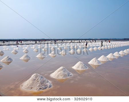 Salt Pan