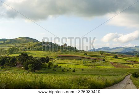 Landscape With Colorful Blossoming Pastures And Fields, Honey Flowers Sulla From Sicily, Agriculture