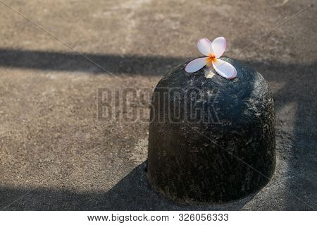 Black Lord Shiva Lingam With Flower In Holy Place In Goa, India