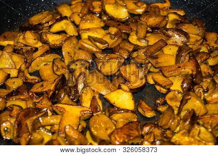 Roasted Tenderloin Cut With Fresh Mushrooms Of The Forest
