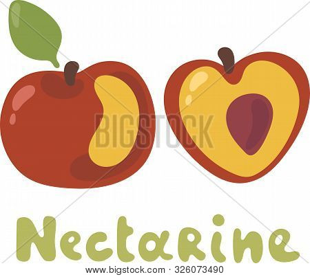 Cartoon Of An Orange Red And Yellow Nectarine Fruit With Green Leaf. Half A Nectarine With Brown See