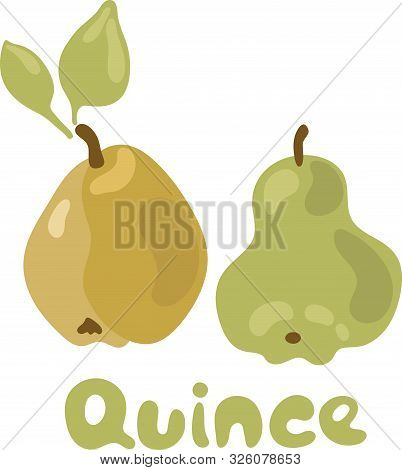 Quince With Leaves Icon. Vector Illustration Of Quince In Hand-drawn Doodle Style For Decorative Pos