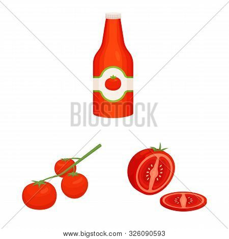Isolated Object Of Organic And Food Symbol. Set Of Organic And Diet Stock Vector Illustration.