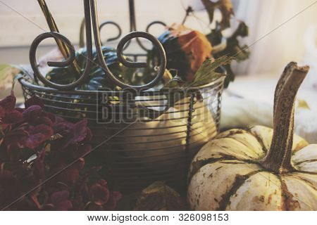 A Metal Basket Filled With Gourds And Pumpkins With Fall Foiliage, Red Flowers And A White Pumpkin. 