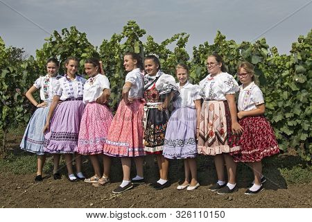 Aradac, Serbia, September 07, 2019. Traditional Celebration Of The Beginning Of Grape Harvesting Tha
