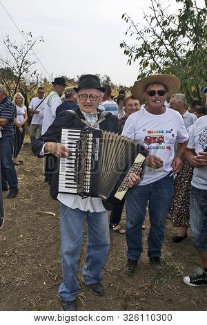 Aradac, Serbia, September 07, 2019. Traditional Celebration Of The Beginning Of Grape Harvesting Tha