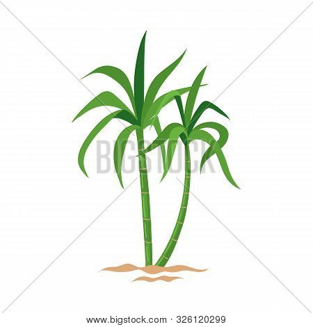 Vector Design Of Tree And Cane Sign. Graphic Of Tree And Foliage Stock Symbol For Web.