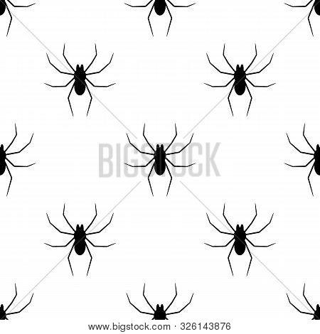 Seamless Pattern With Black Silhouette Of Spider On White Background. Halloween Decorative Texture. 