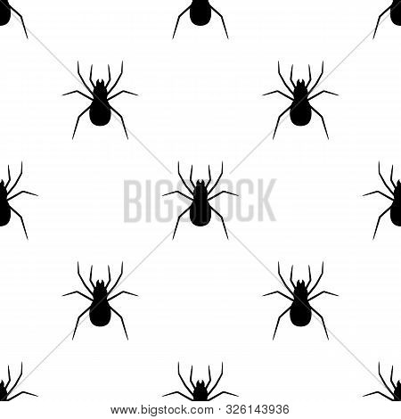 Seamless Pattern With Black Silhouette Of Spider On White Background. Halloween Decorative Texture. 