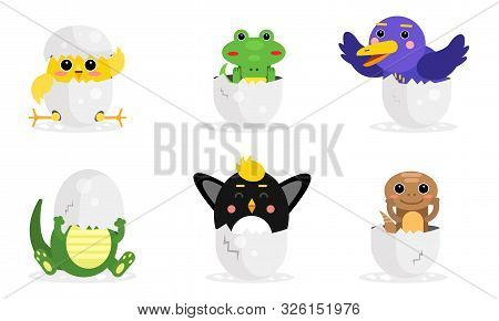 Vector Illustration Set With Adorable New Born Animals In Eggs