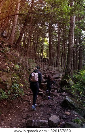 Mother And Child Going Upsteps In Forest In Autumn In Park, Seen From Behind. Concepts Of Path, Dire