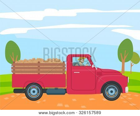 Farming And Agriculture, Farmer Driving Truck With Potato In Trunk Vector. Food Or Harvest Transport