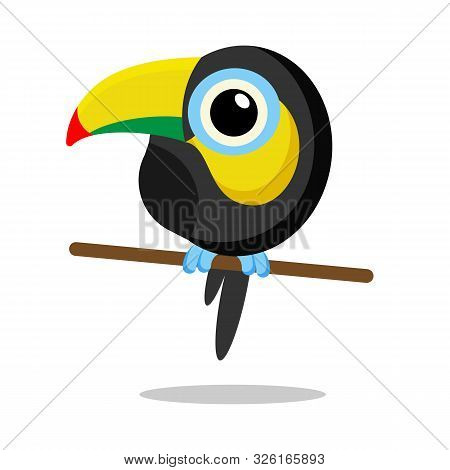 Cute Toucan In Flat Style Vector Image