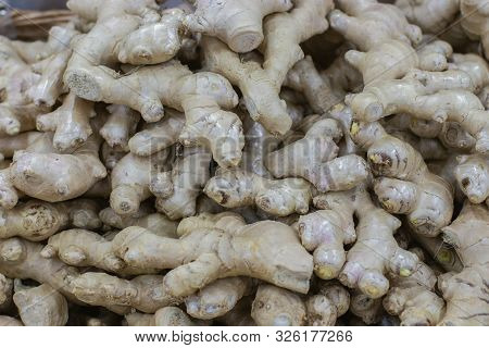 Ginger Rhizome Close-up Background. Fresh Natural Ginger Root On A Supermarket Counter. Spicy Ginger