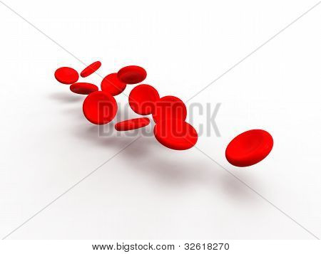 5_red sangue Cells.jpg