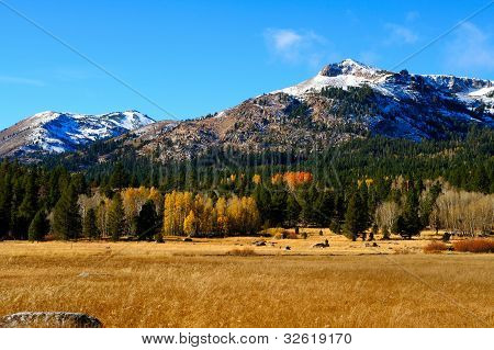 Fall sæson i Sierras