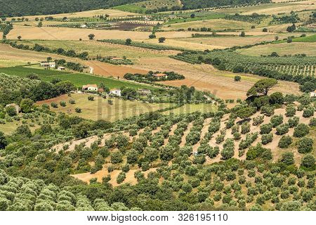 Landscape Of Maremma At Summer From Capalbio (grosseto, Tuscany, Italy), Historic Village